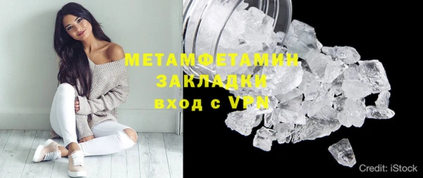 стаф Аркадак