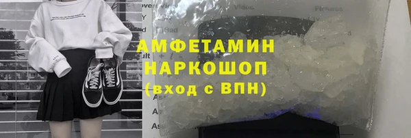 стаф Аркадак