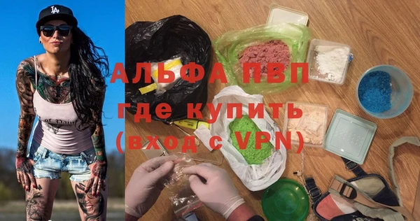 стаф Аркадак