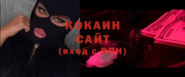 стаф Аркадак