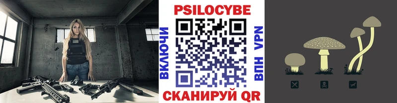 наркота  блэк спрут сайт  Псилоцибиновые грибы Psilocybine cubensis  Белгород 
